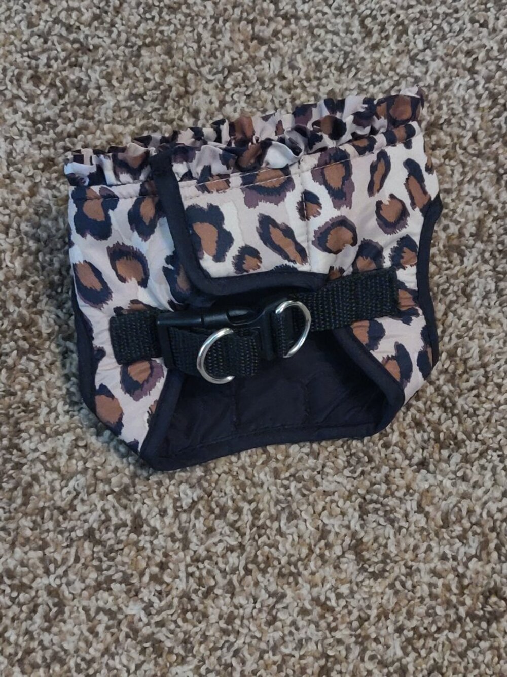 Small Dog Clothes *Bundle of 37 Pieces* All XXS or XS - Picture 3 of 10